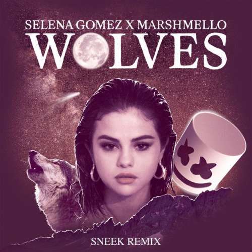 Wolves - Sneek Remix